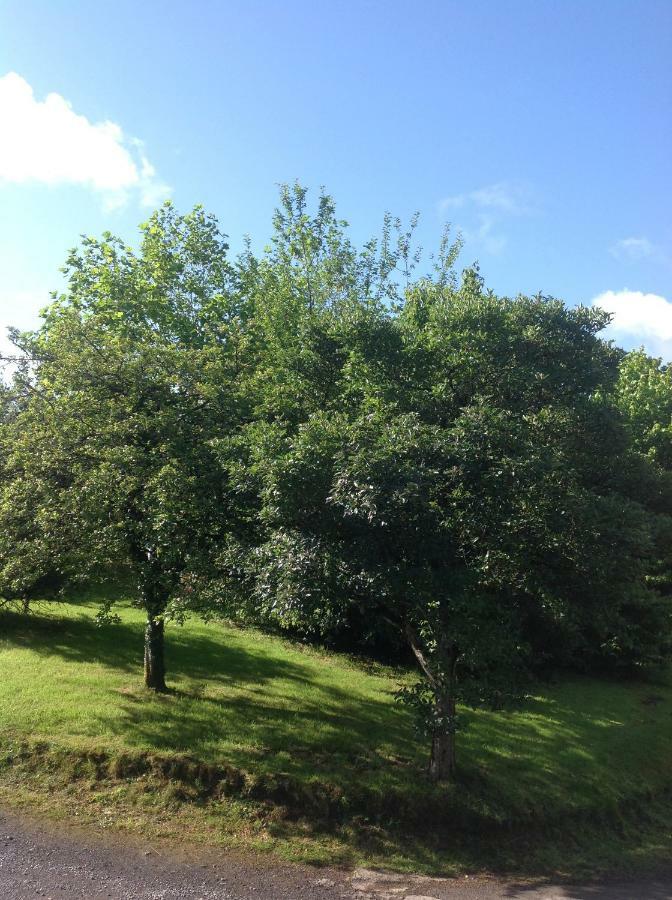 كرمرثن Cwmtwrch Cottage المظهر الخارجي الصورة